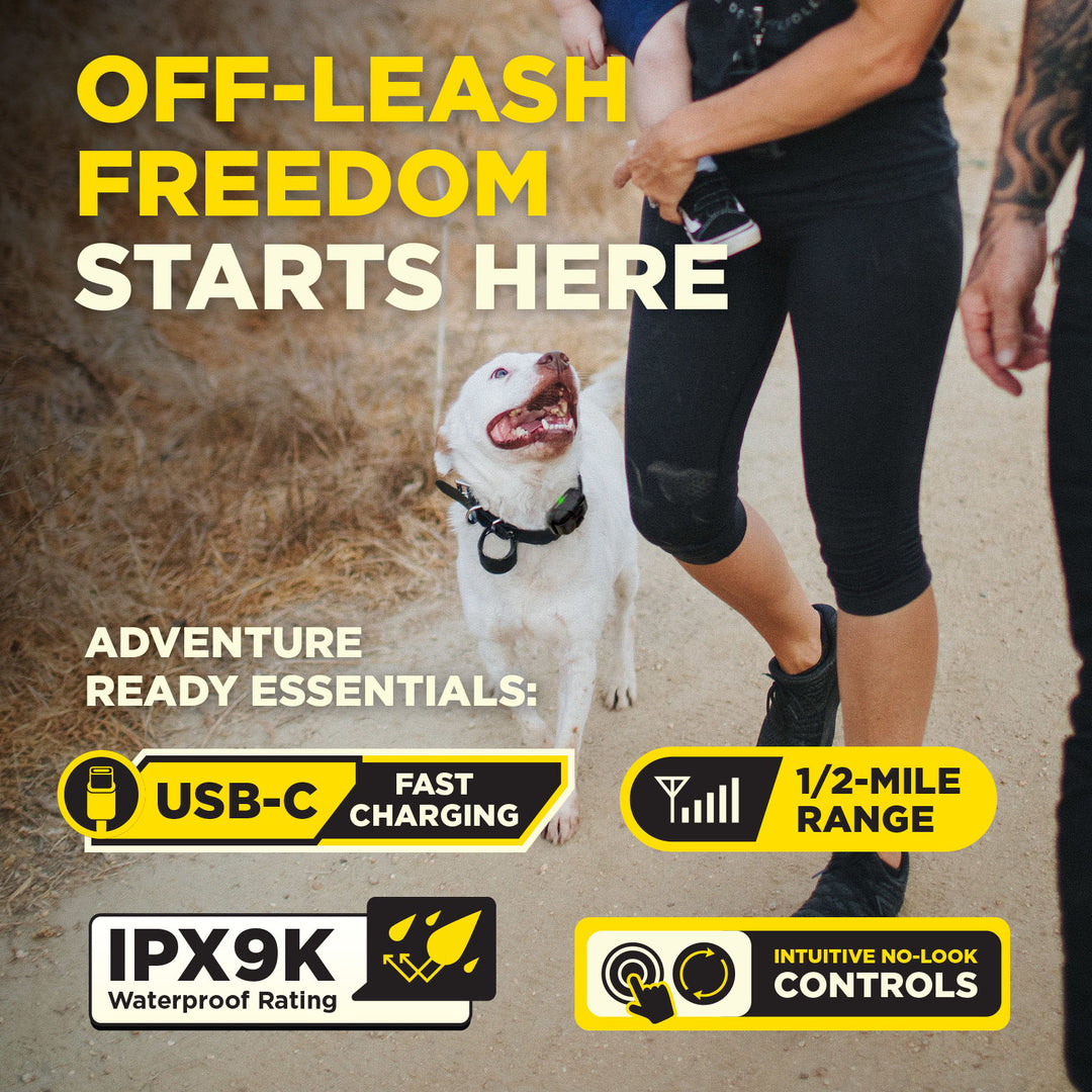 Dogtra 200IQ Training System