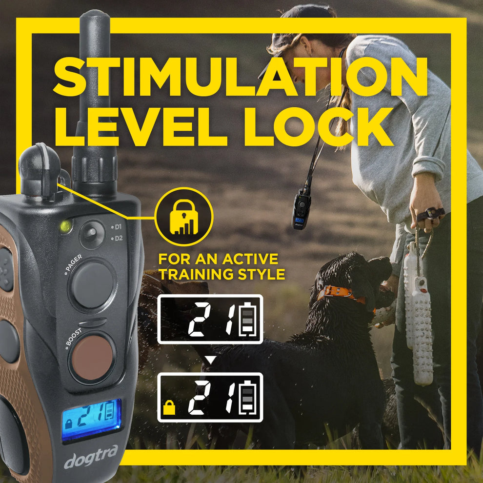 DOGTRA ARC Handsfree Plus Boost & Lock | MunroKennels.com