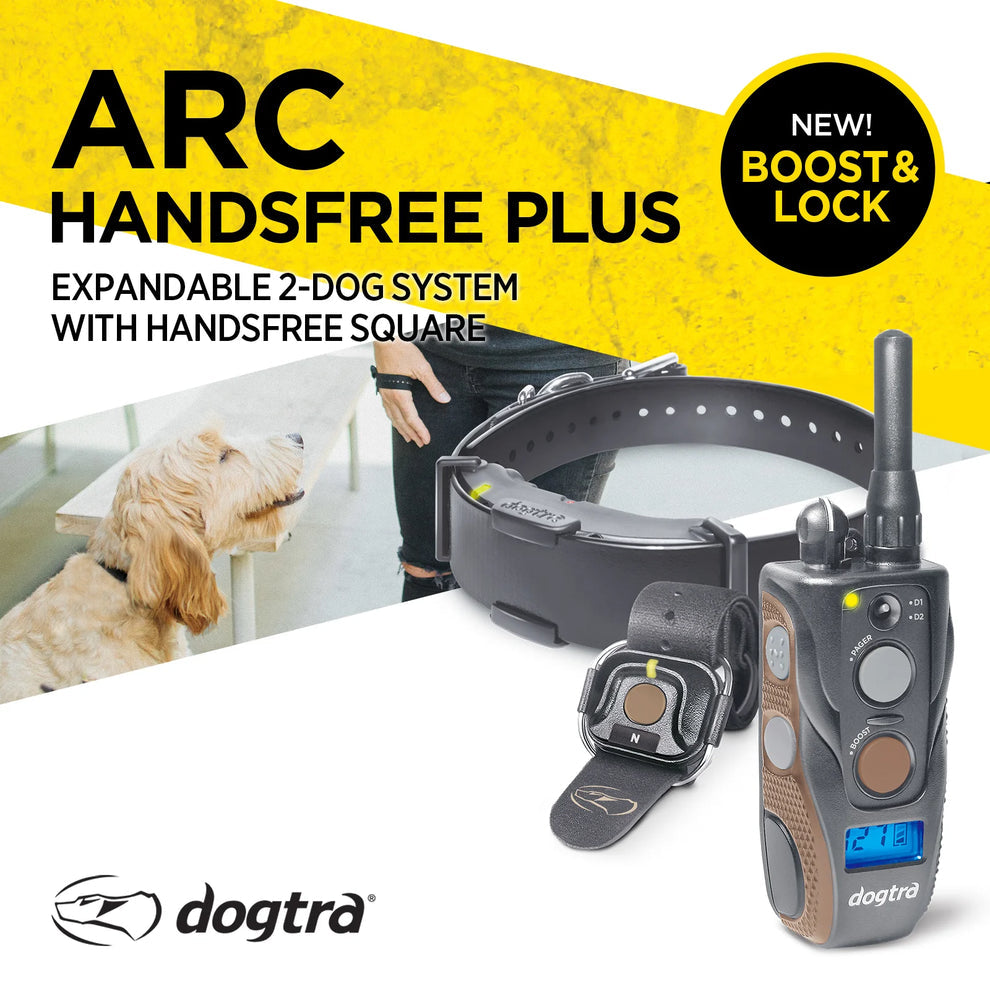 DOGTRA ARC Handsfree Plus Boost & Lock | MunroKennels.com