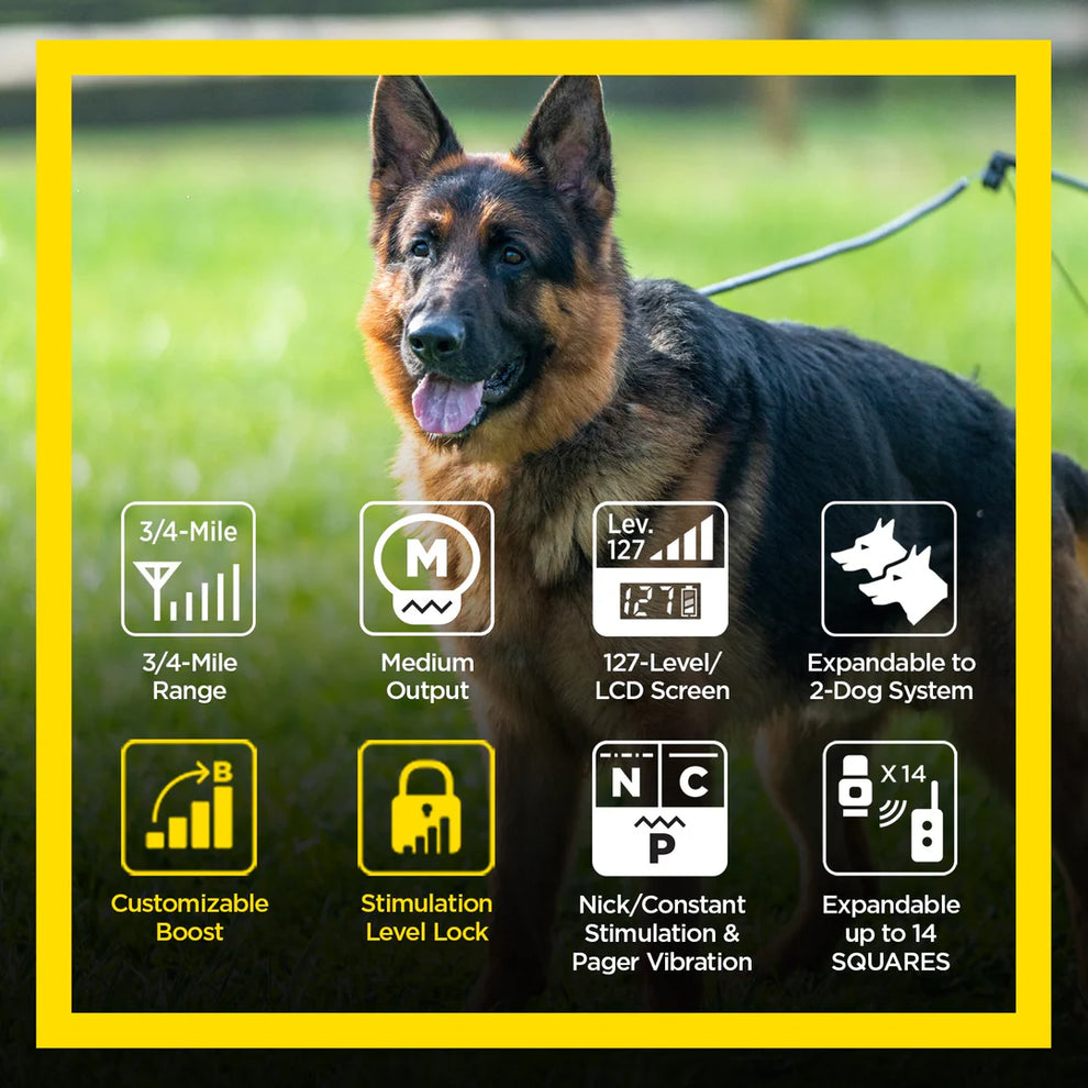 DOGTRA ARC Handsfree Plus Boost & Lock | MunroKennels.com