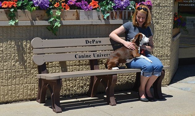 Dog Park Bone Bench