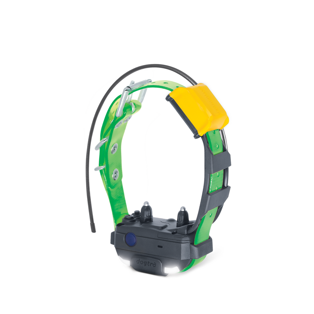 DOGTRA Pathfinder2 Mini RX Receiver - Green | MunroKennels.com