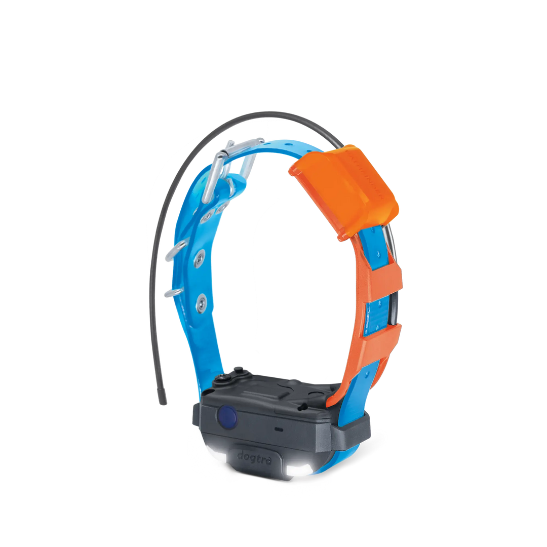 DOGTRA Pathfinder2 Mini TRX Receiver - Blue | MunroKennels.com
