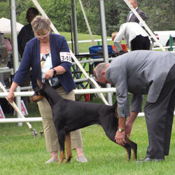 Mona McMillan | Mainwynd Kennels | MunroKennels.com | Alberta Doberman Breeder, Trainer & Handler | (1978-Present)