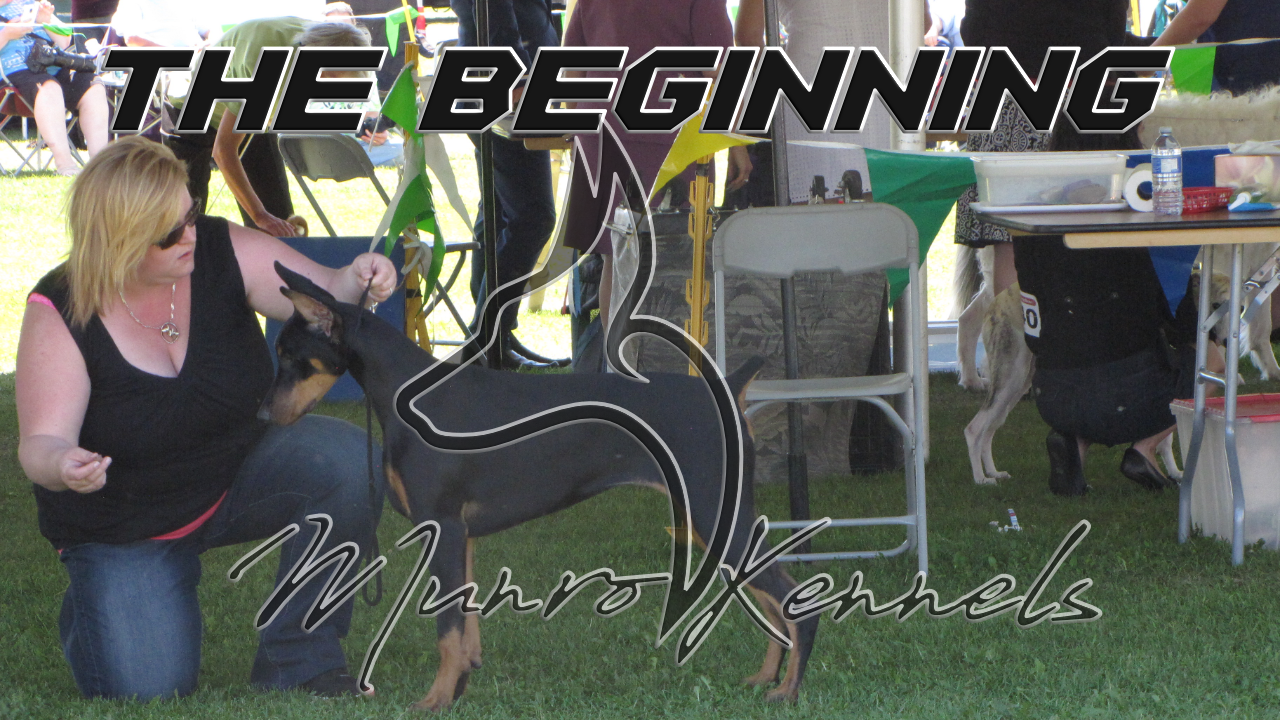 The Beginning | Munro Kennels | Mainwynd Kennels (2016-Present)