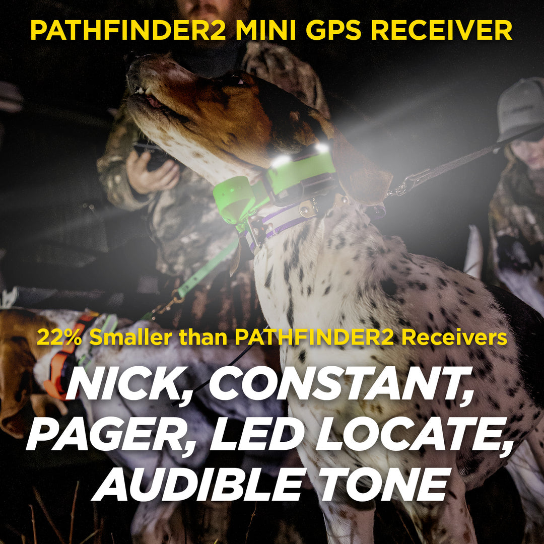 DOGTRA Pathfinder2 Mini RX Receiver - Green | MunroKennels.com