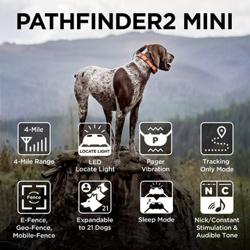 DOGTRA Pathfinder2 Mini
