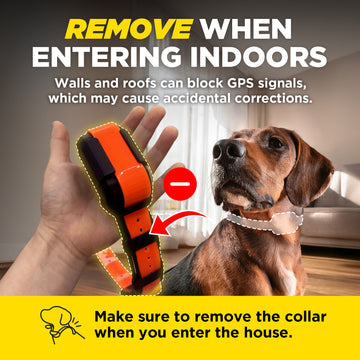 DOGTRA Pathfinder2 Mini