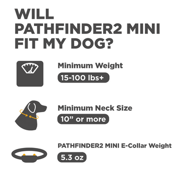 DOGTRA Pathfinder2 Mini
