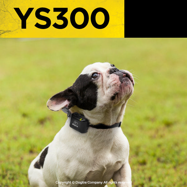 Dogtra YS300