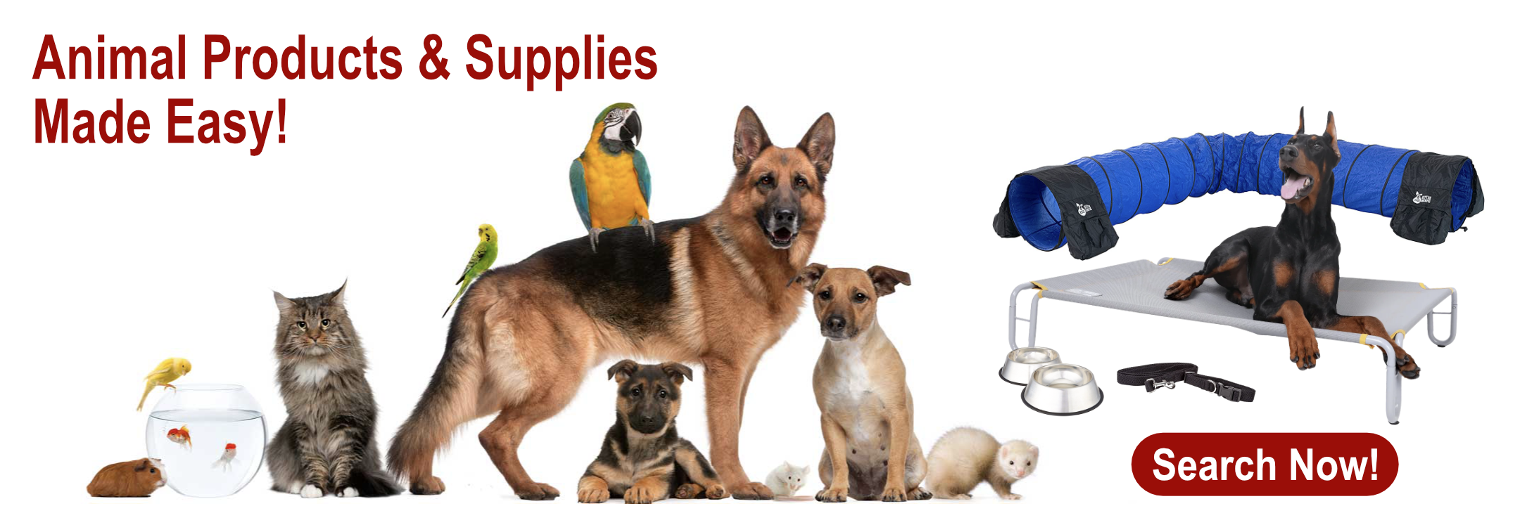Dog breeder online supplies wholesale