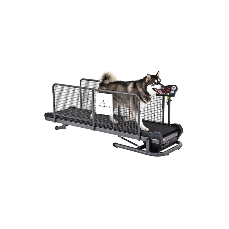 Dog hot sale conditioning equipment