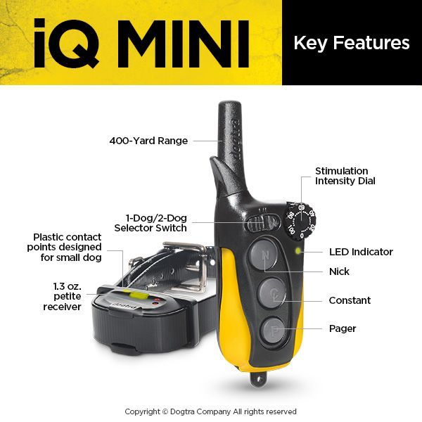 Dogtra iQ Mini