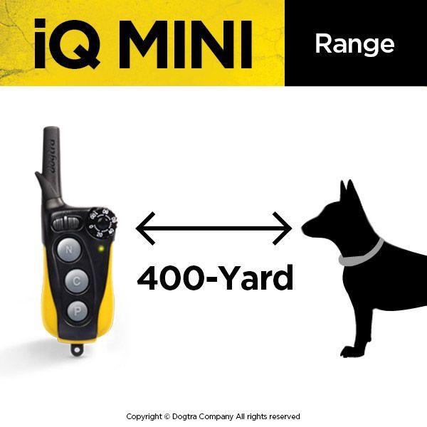 Dogtra iQ Mini