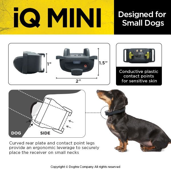 Dogtra iQ Mini