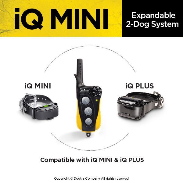 Dogtra iQ Mini