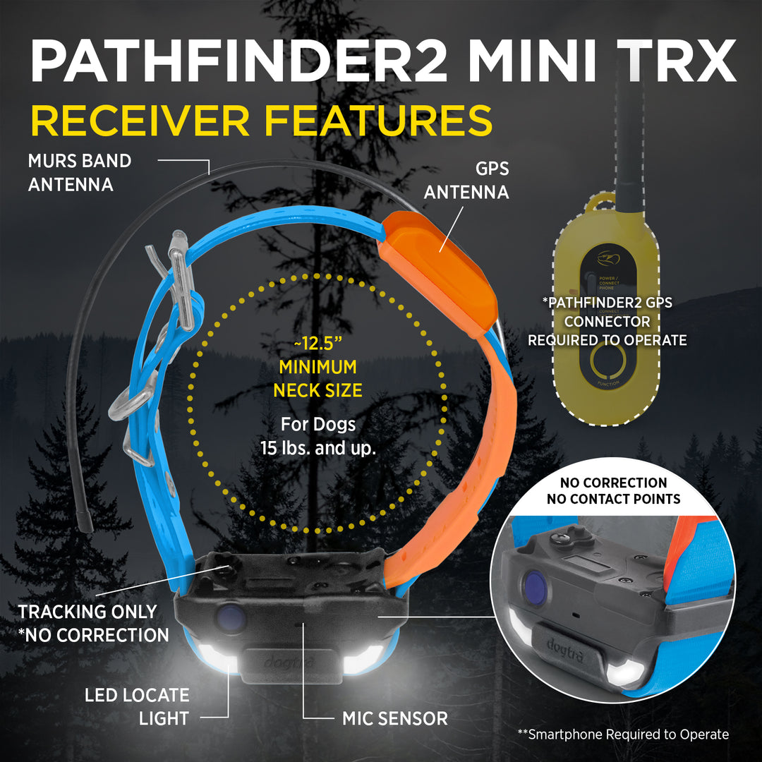 DOGTRA Pathfinder2 Mini TRX Receiver - Blue | MunroKennels.com