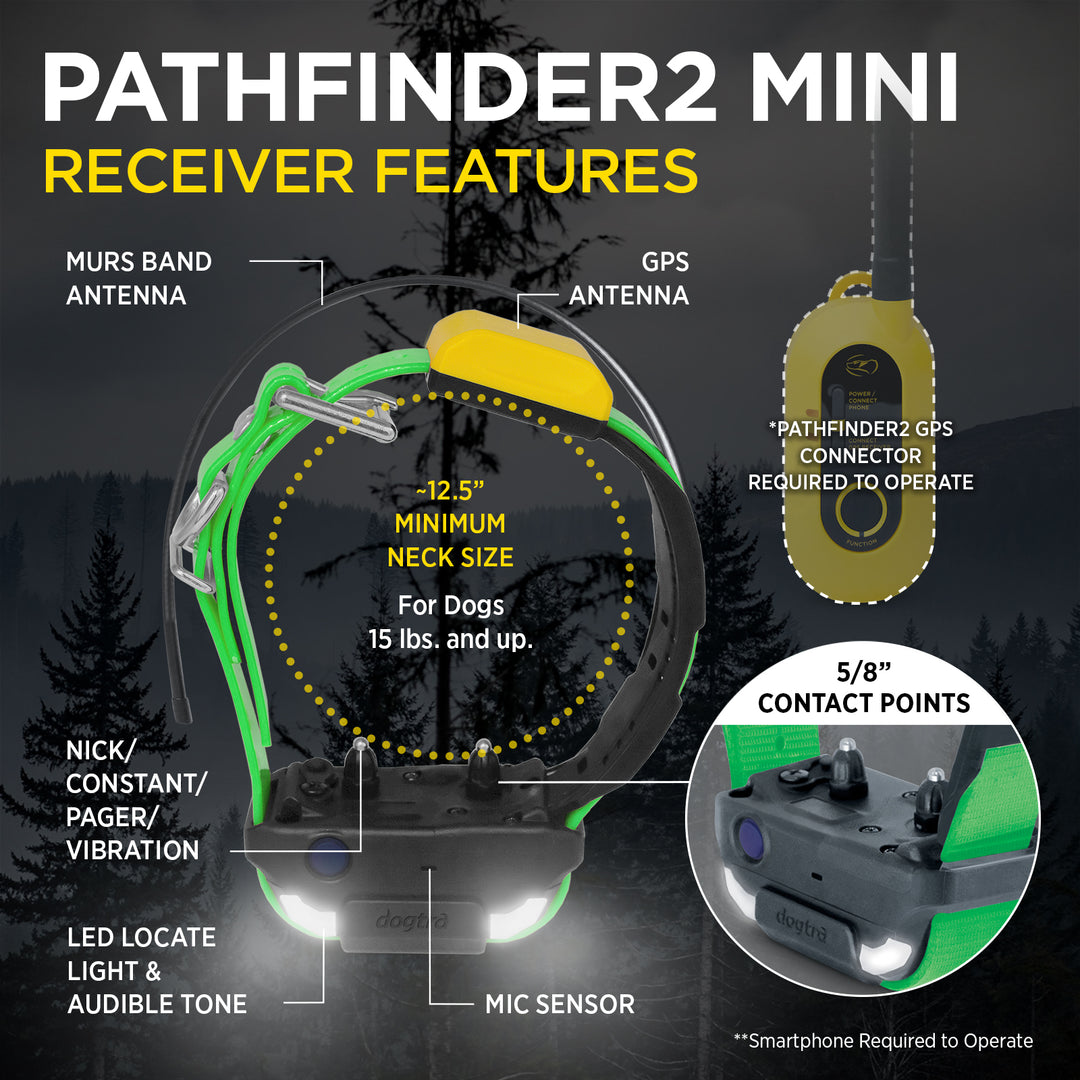 DOGTRA Pathfinder2 Mini RX Receiver - Green | MunroKennels.com