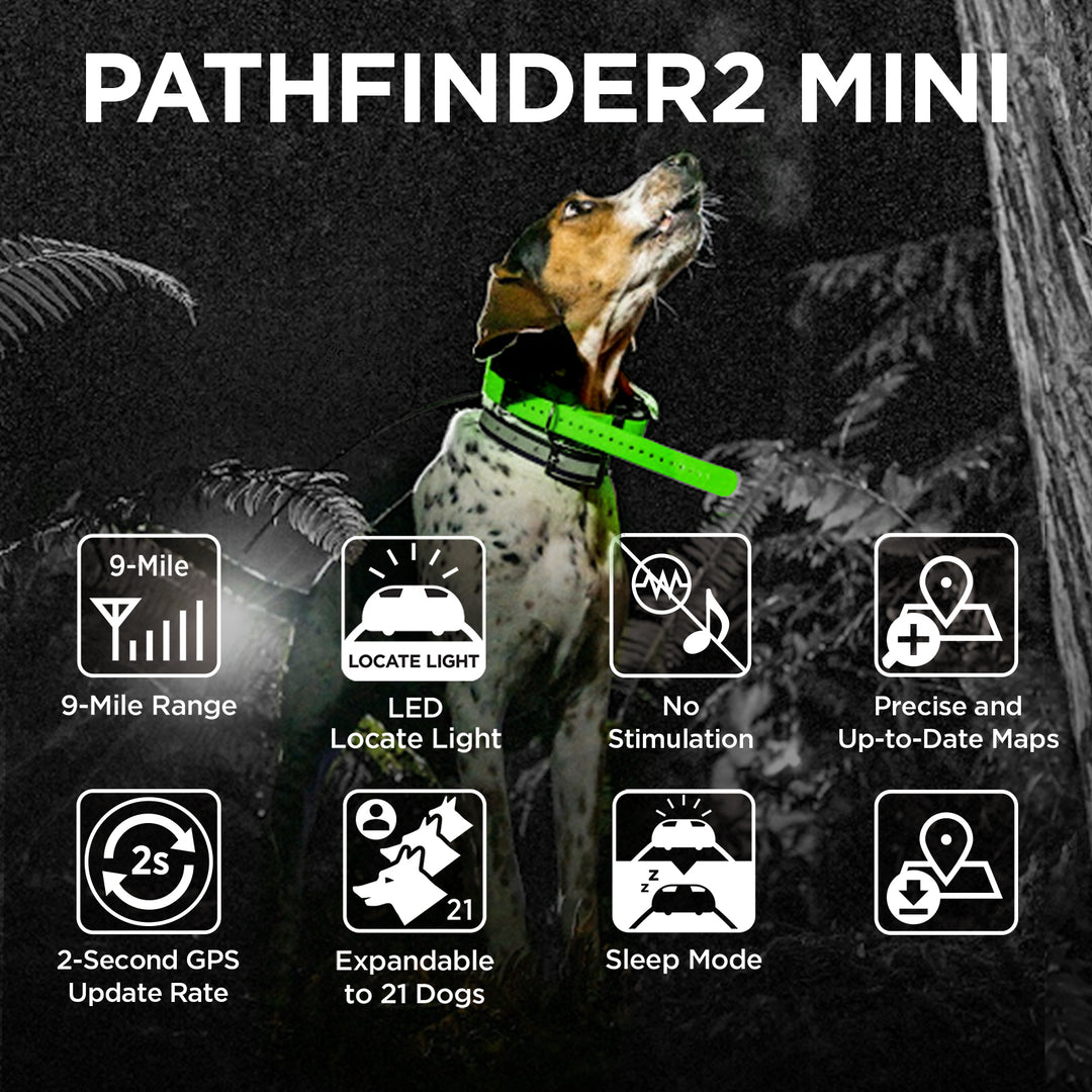 DOGTRA Pathfinder2 Mini RX Receiver - Green | MunroKennels.com