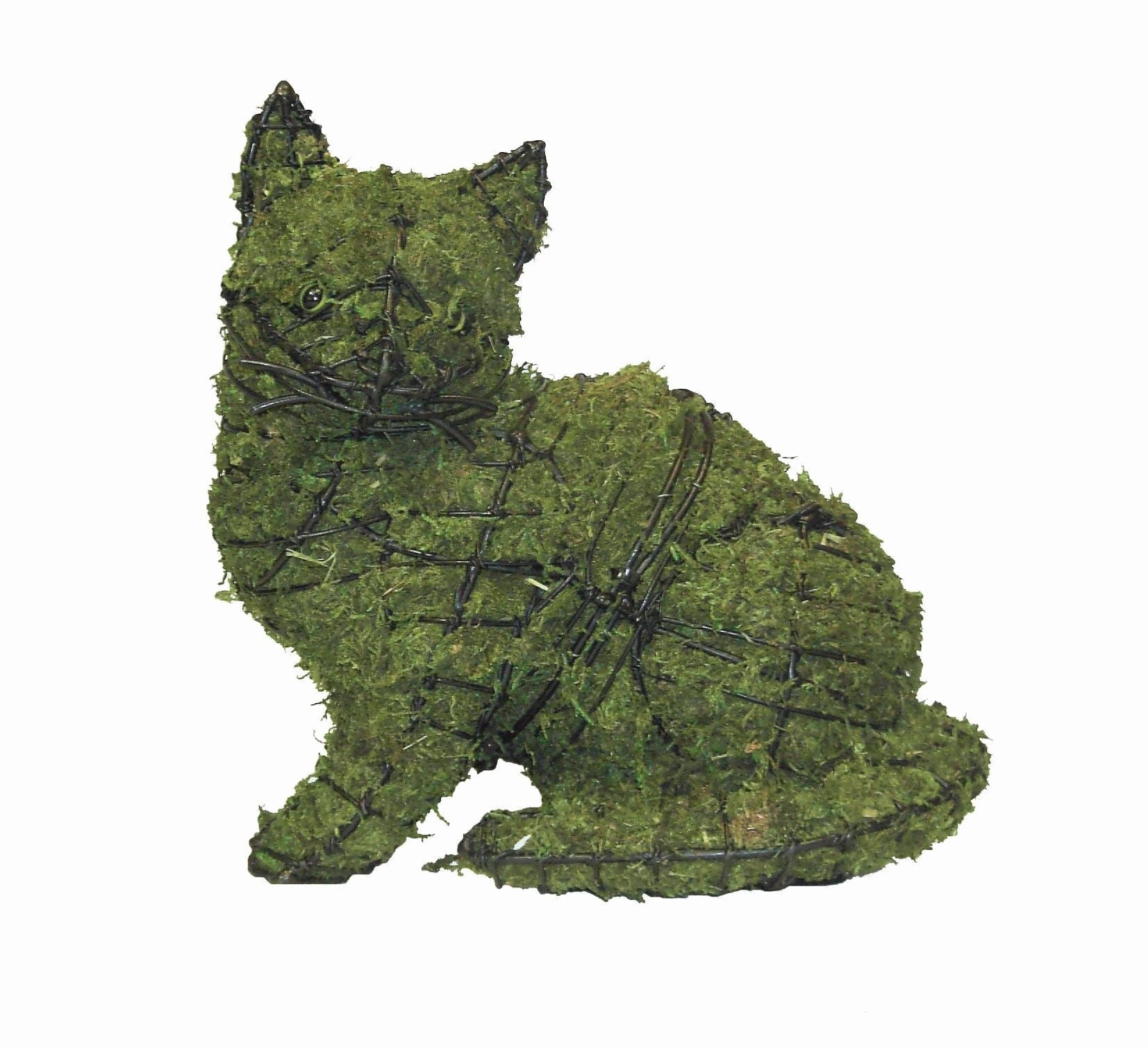 Sitting Kitten Topiary - 9" (Mossed)