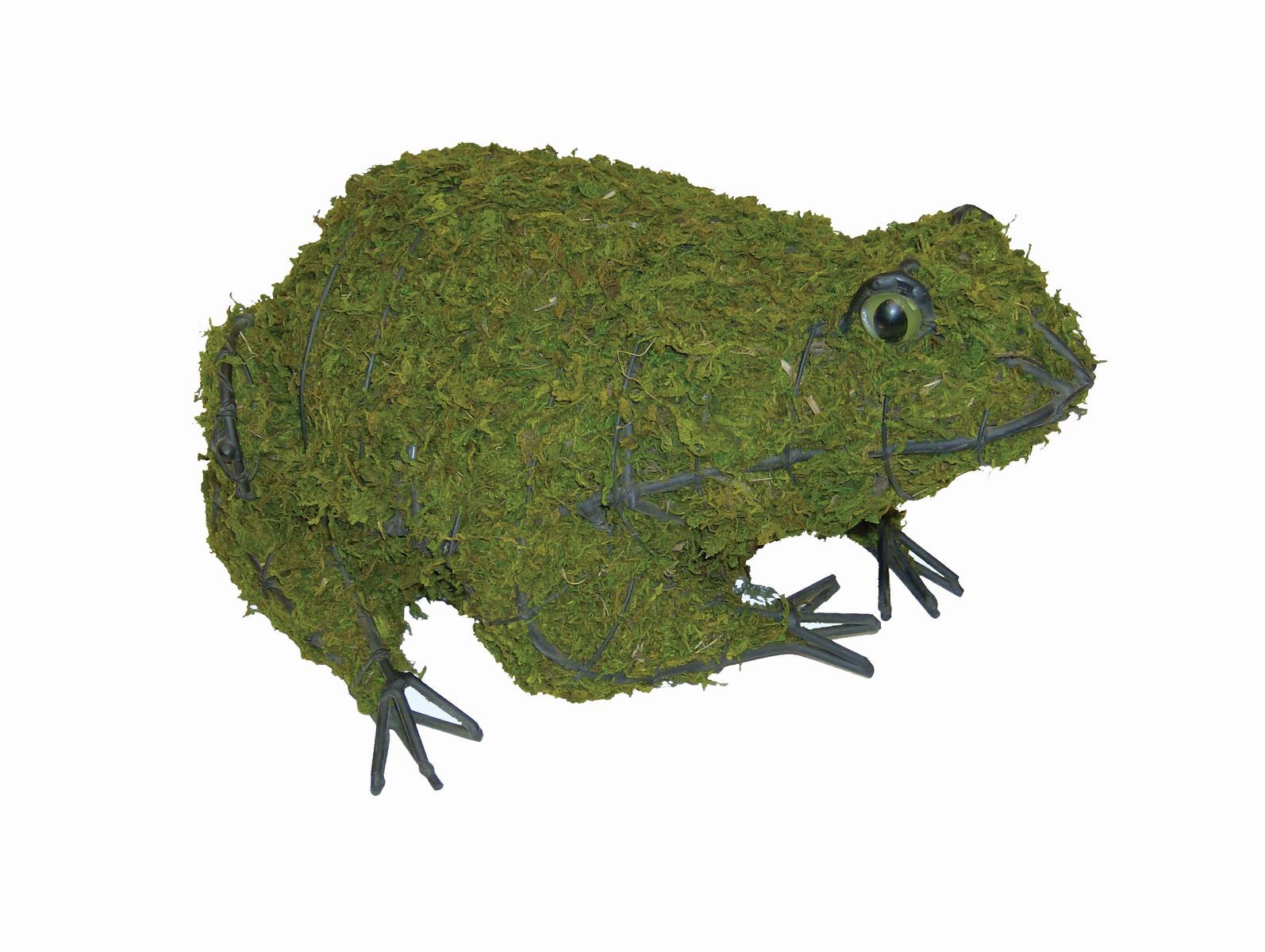 Frog Topiary - 4" (Mossed)
