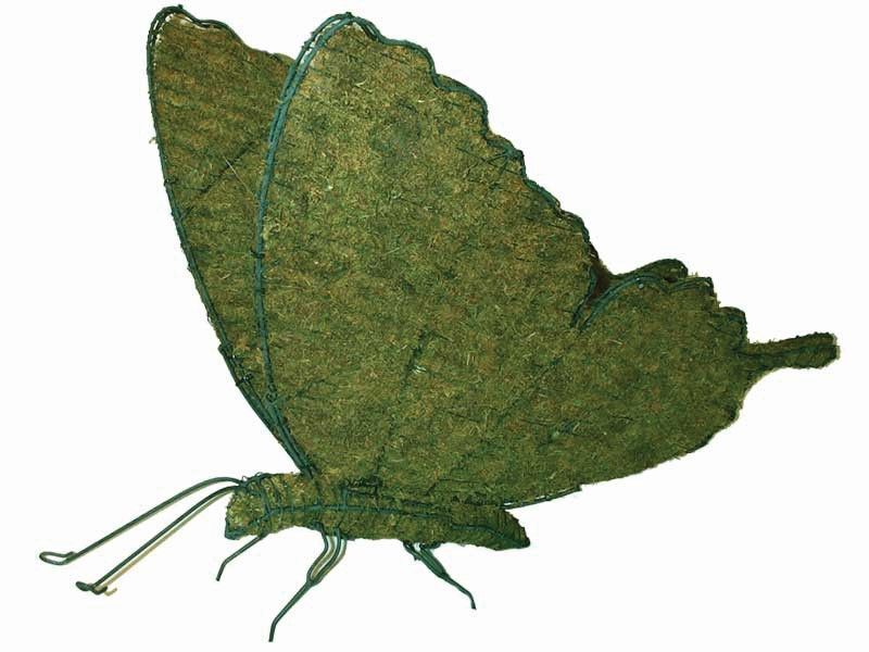 Butterfly Topiary - 20" (Mossed)