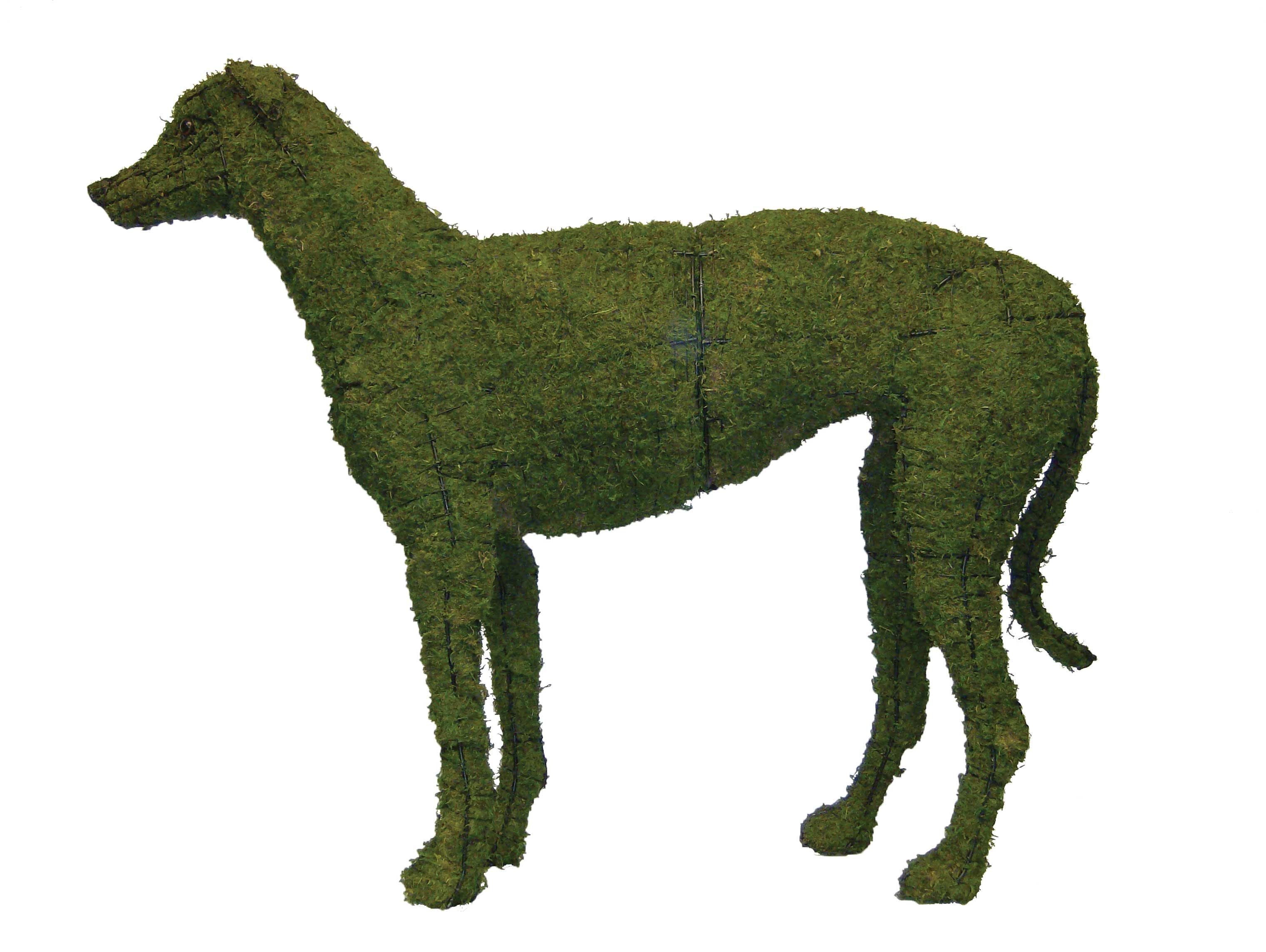 Greyhound Topiary - 37" (Mossed)