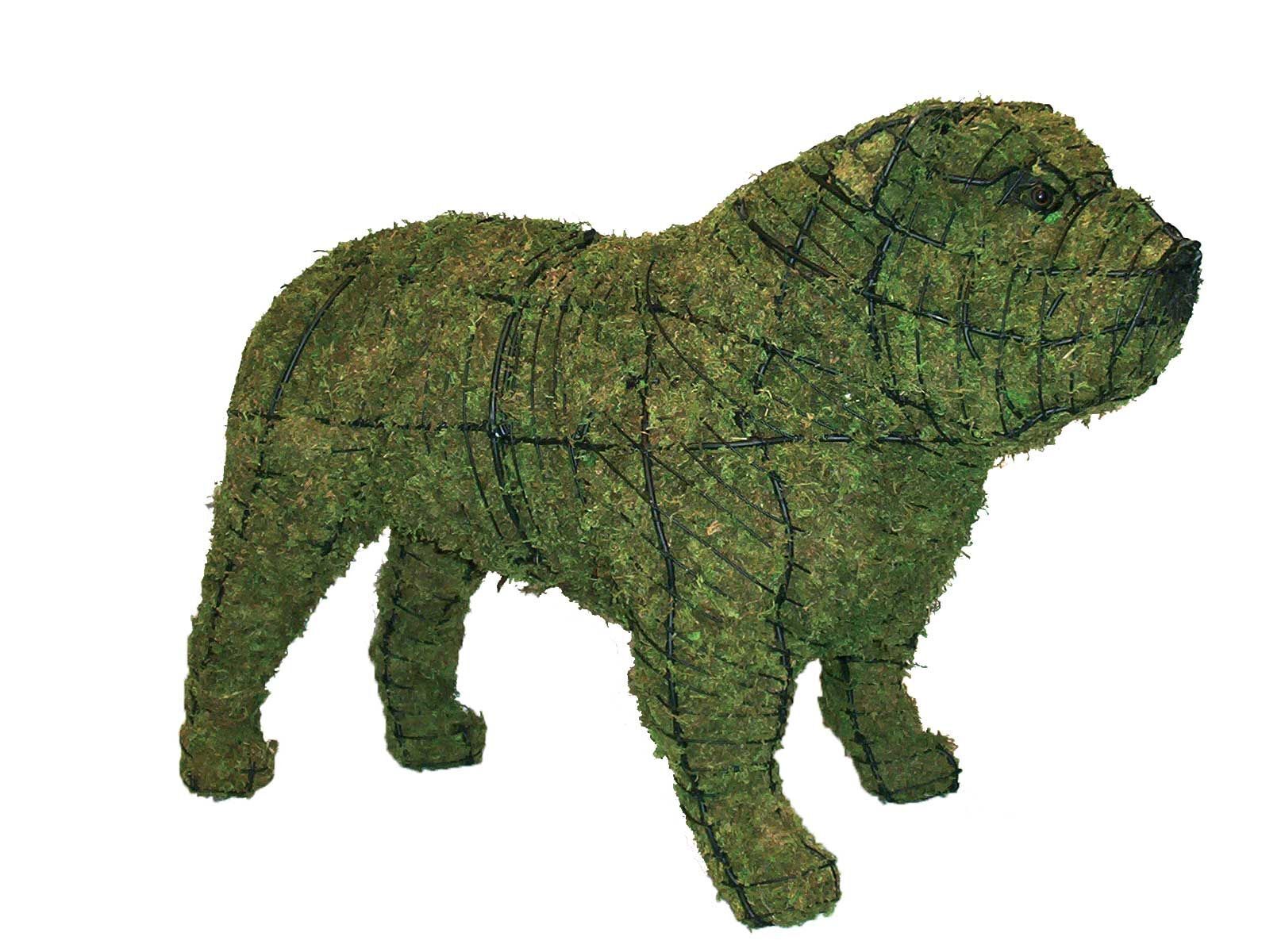 Bulldog Topiary - 16" (Mossed)