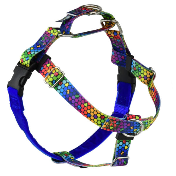 Freedom No-Pull Dog Harness - ROY G BIV EarthStyle