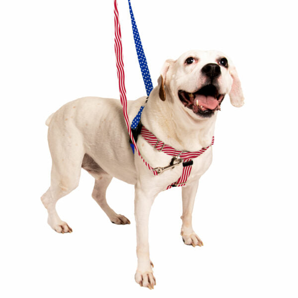Freedom No-Pull Dog Harness - Star Spangled EarthStyle