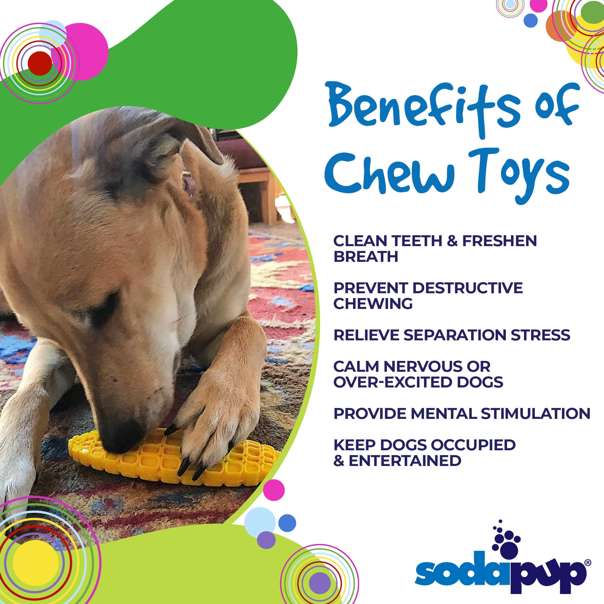 Nylon Dog Chew Toy Corn on the Cob