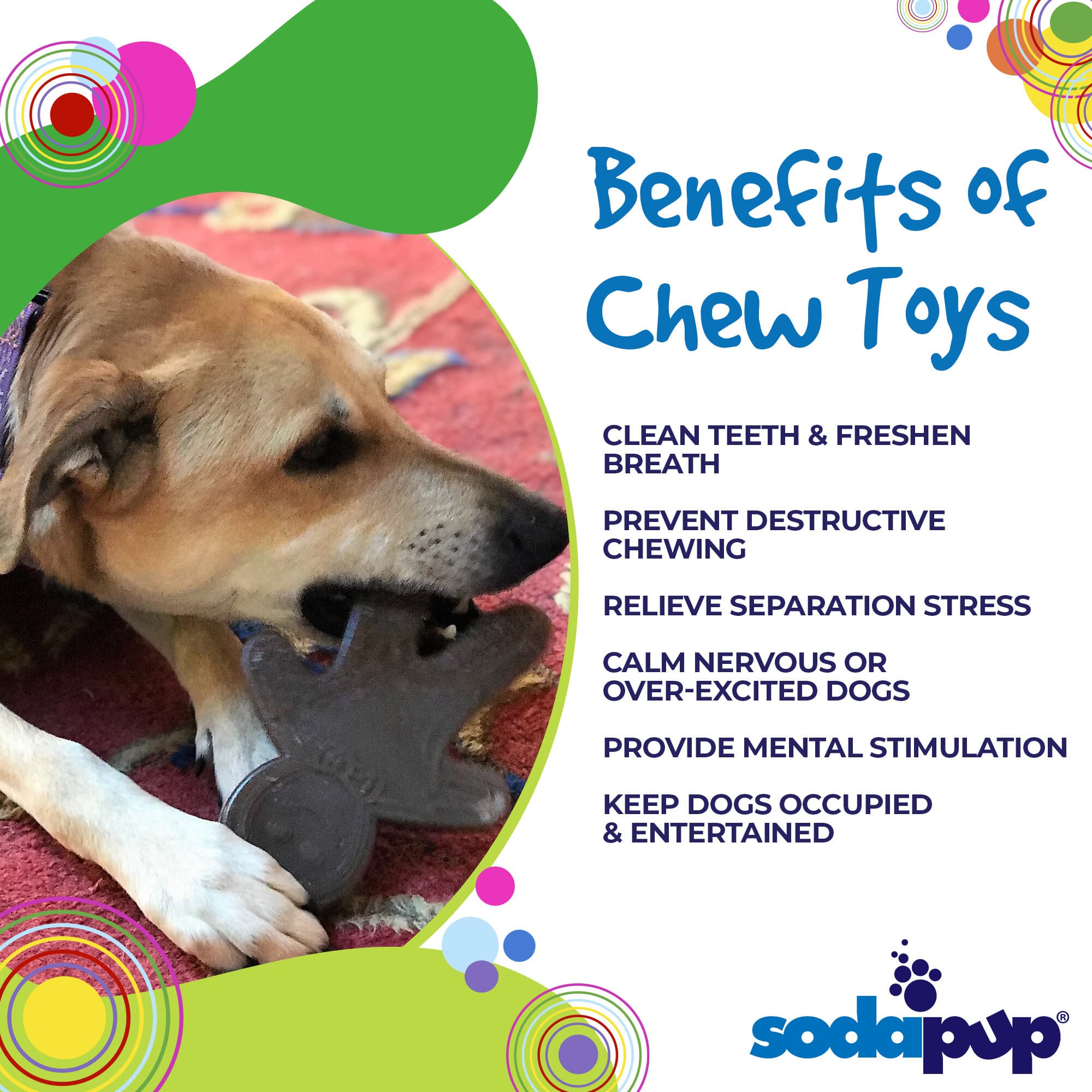 Nylon Dog Chew Toy - Gingerbread Man