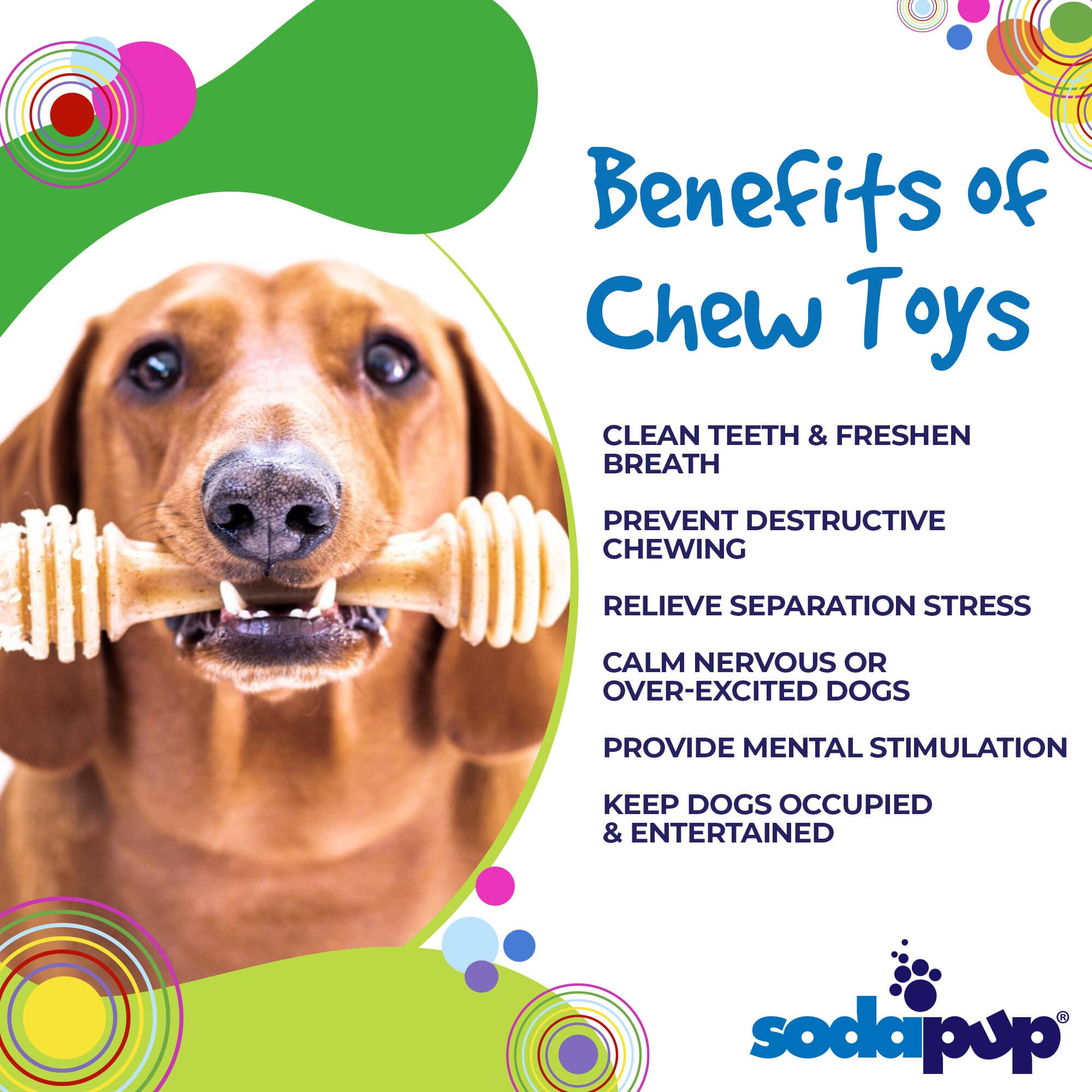 Ultra-Durable Nylon Dog Chew Toy - Honey Bone