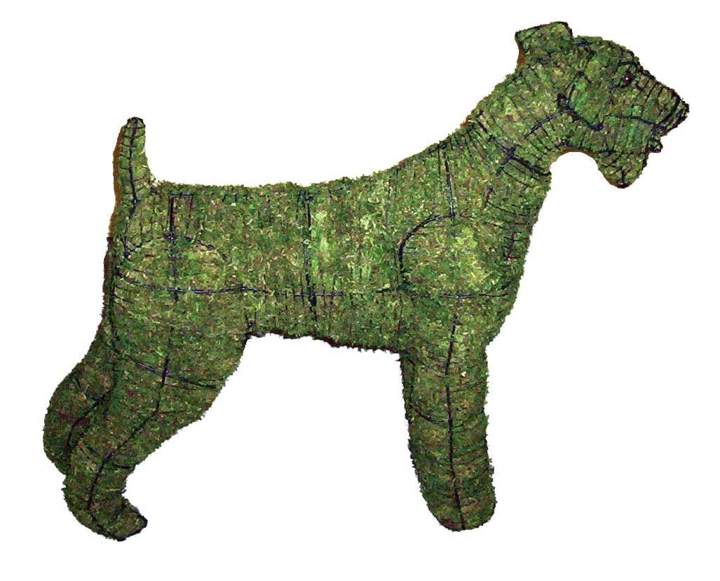 Airedale Topiary - 32" (Mossed)