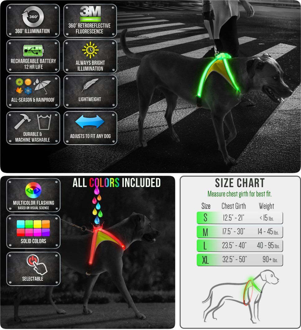 Noxgear, LightHound, The Best High Visibility Lighted Pet Harness,  LED Lighted Dog Harness, Edmonton & Calgary Alberta,