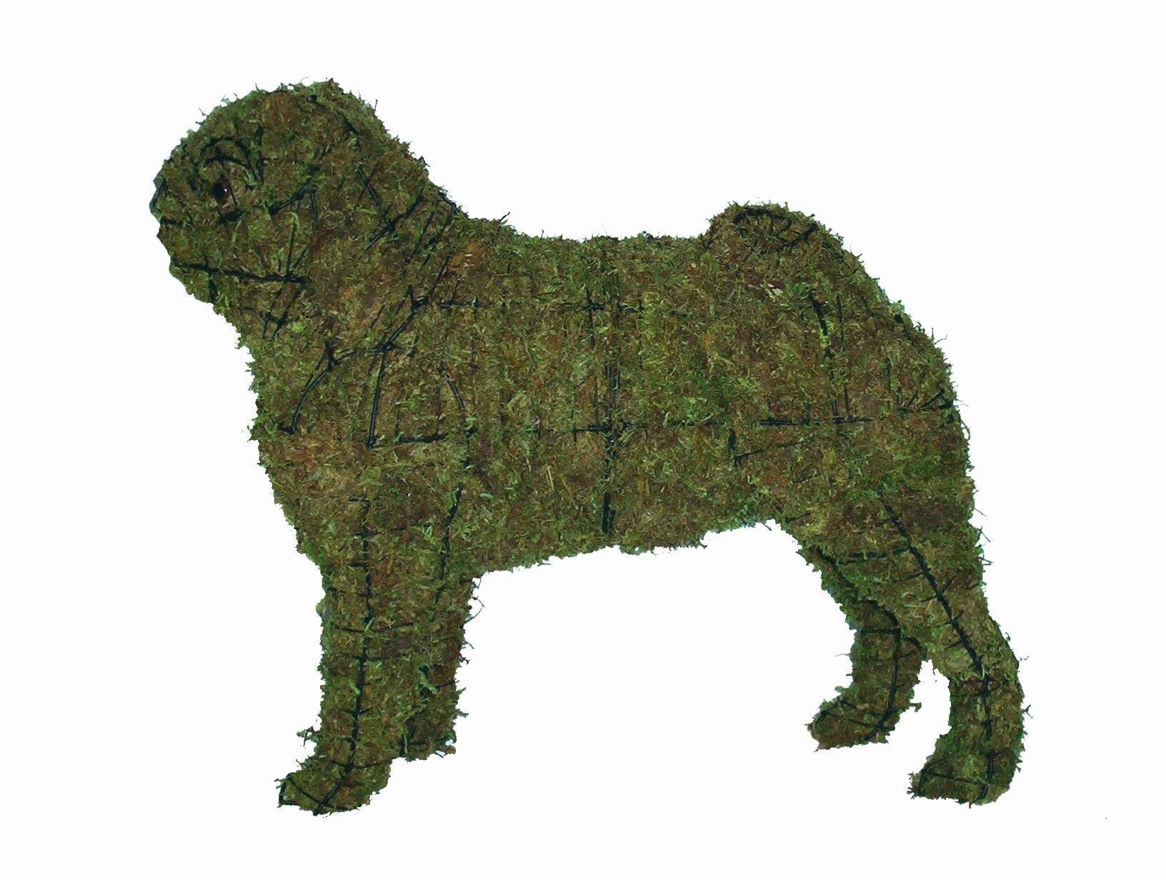 Pug Topiary - 18" (Mossed)