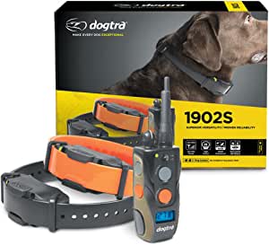 Dog collar training system online