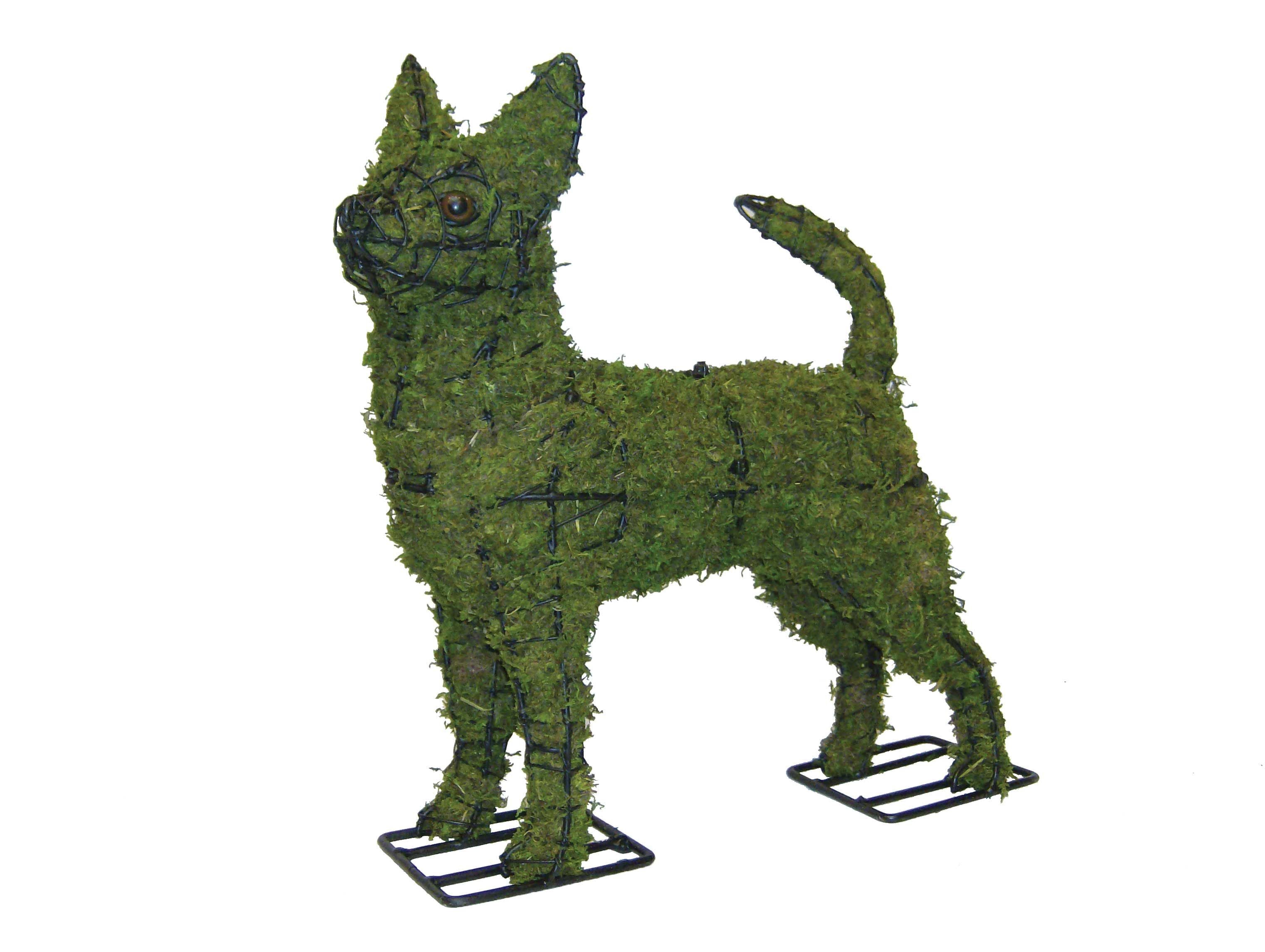 Chihuahua Topiary - 16" (Mossed)