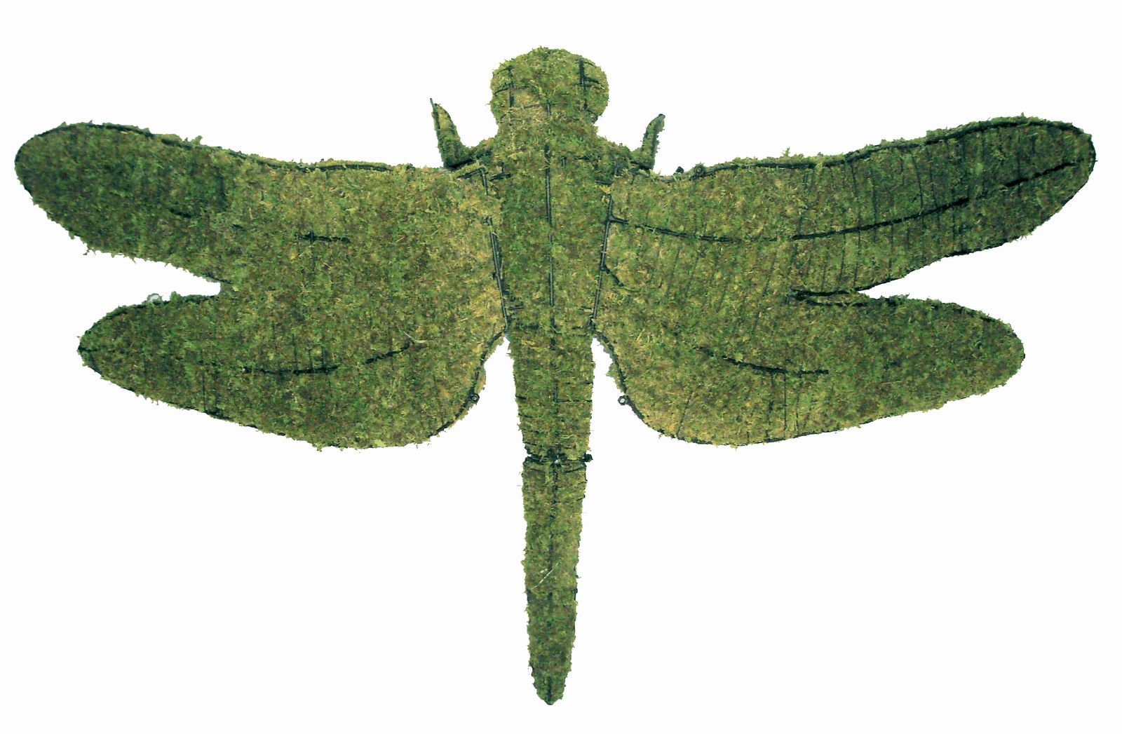 Dragonfly Topiary - 8" (Mossed)