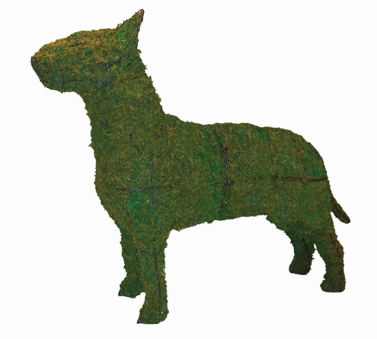 Bull Terrier Topiary - 27" (Mossed)