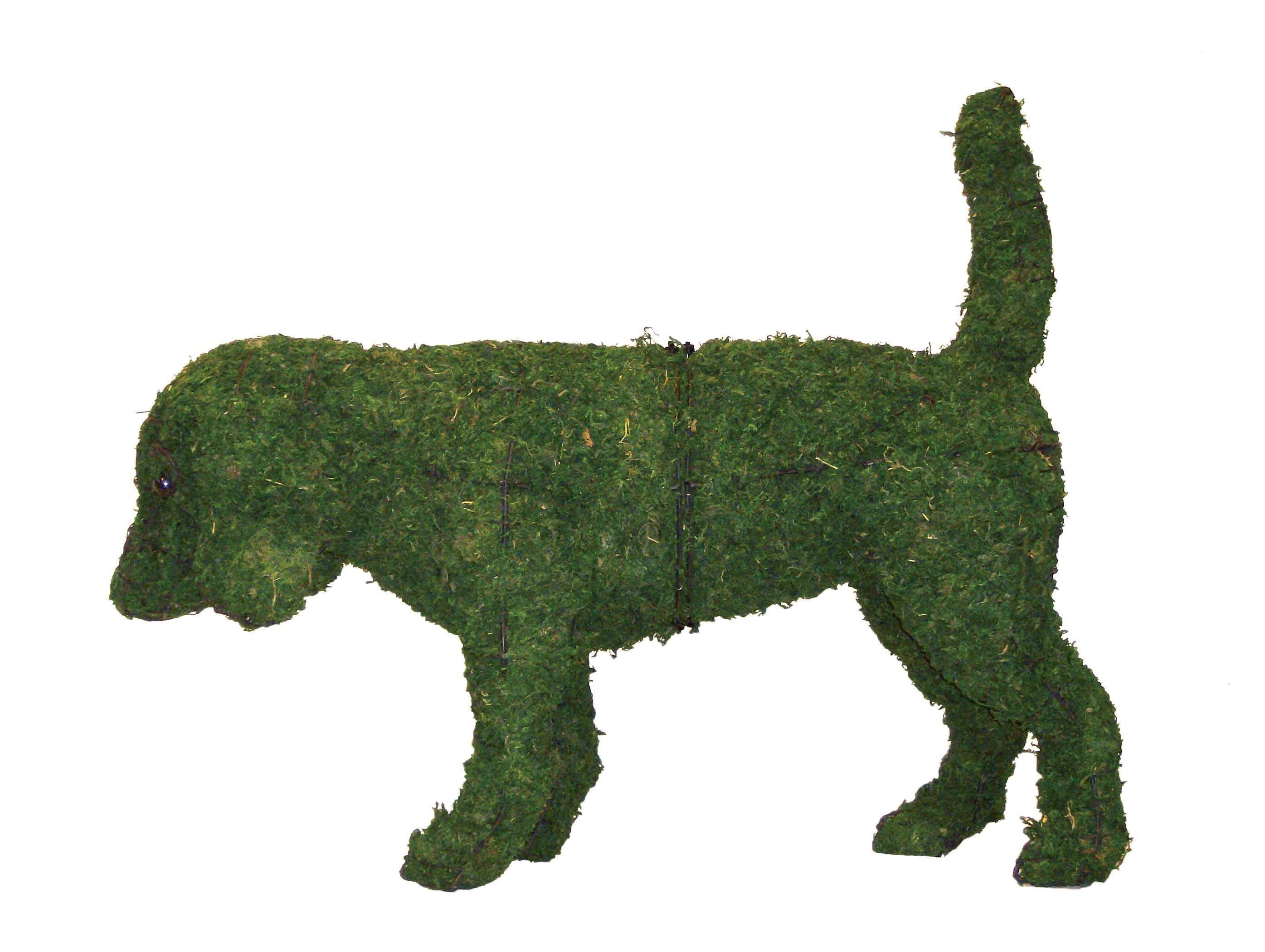 Beagle Topiary - 21" (Mossed)
