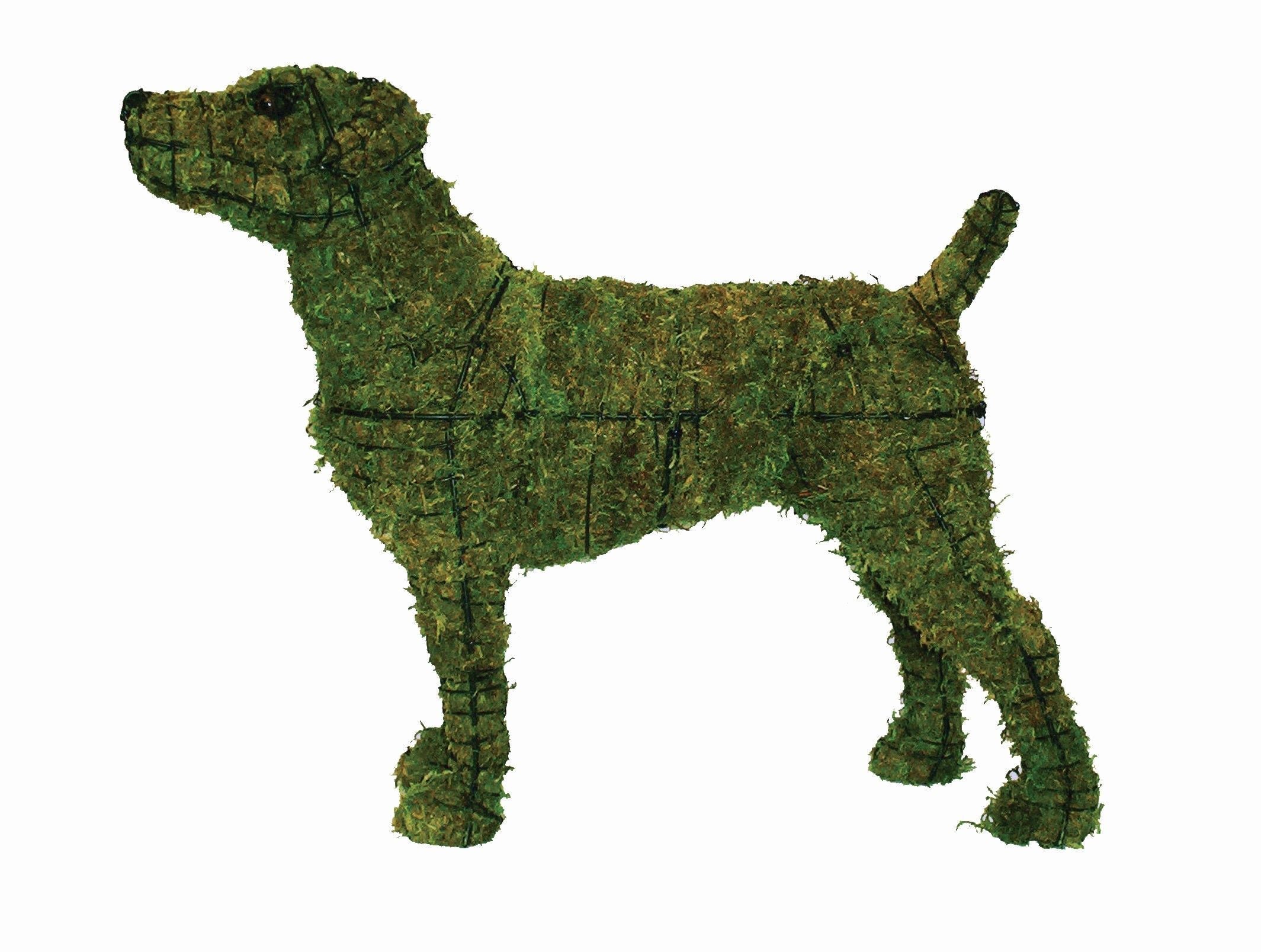 Jack Russell Topiary - 14" (Mossed)