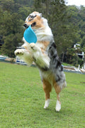 FETCH-ABLES - Fetch-A-Disk