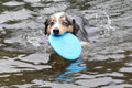 FETCH-ABLES - Fetch-A-Disk