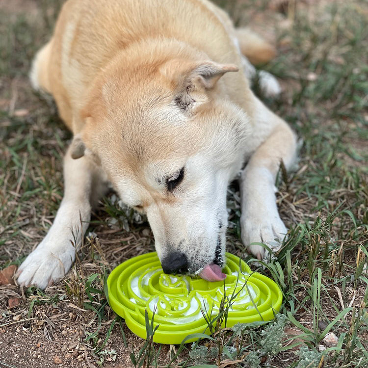 ETRAY Lick Tray - Water Frog