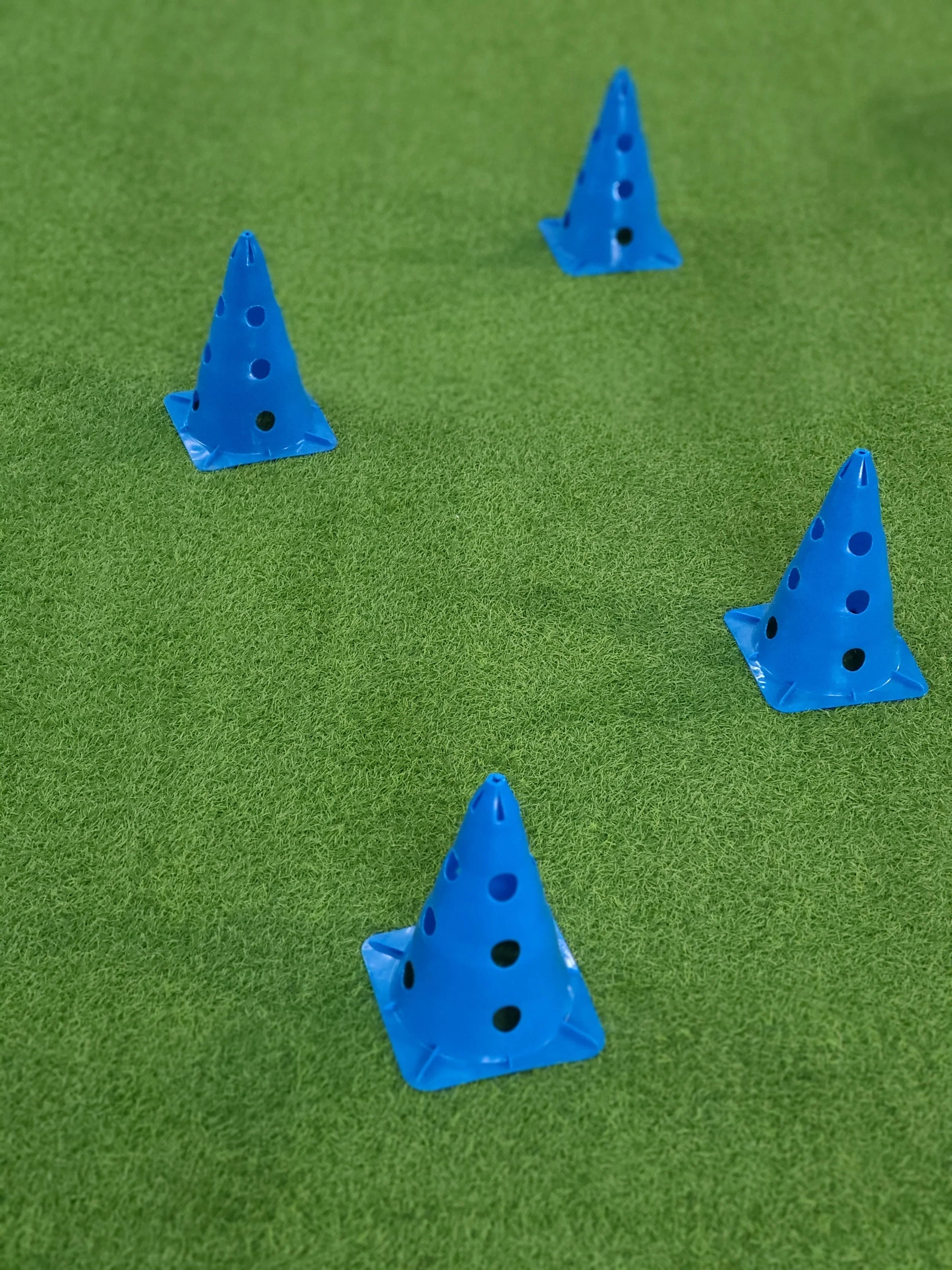 Cool Runners Dog Agility Cavaletti Hurdle Cones MunroKennels