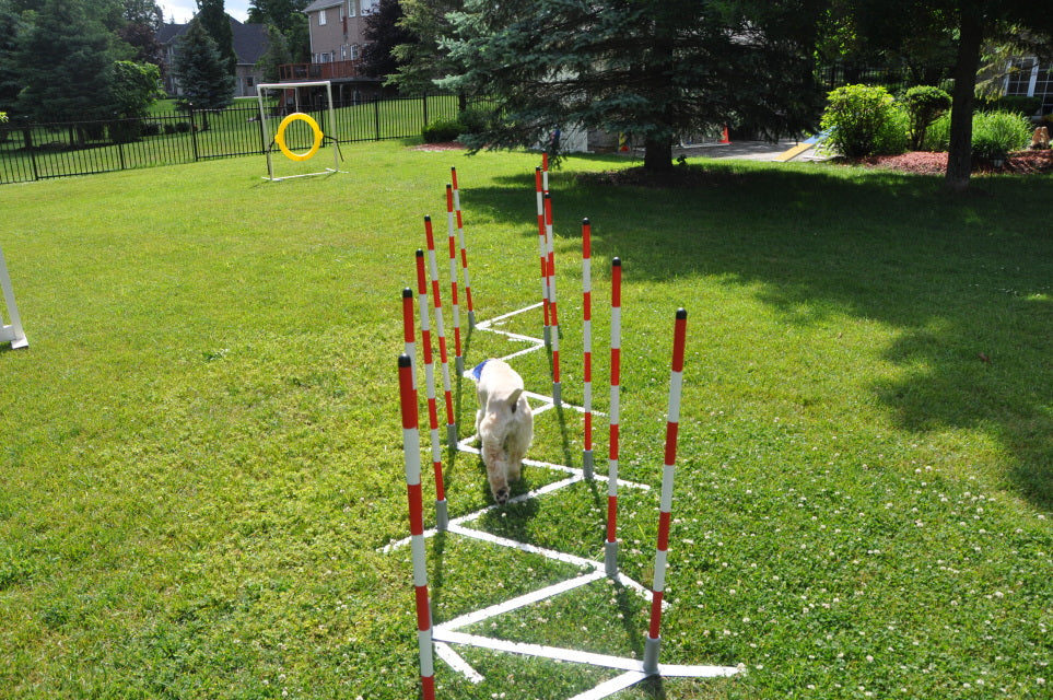 Munro Kennels Metal Base Weave Poles