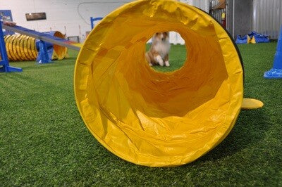 Handlers Choice Puppy Tunnel - 16"D x 78"