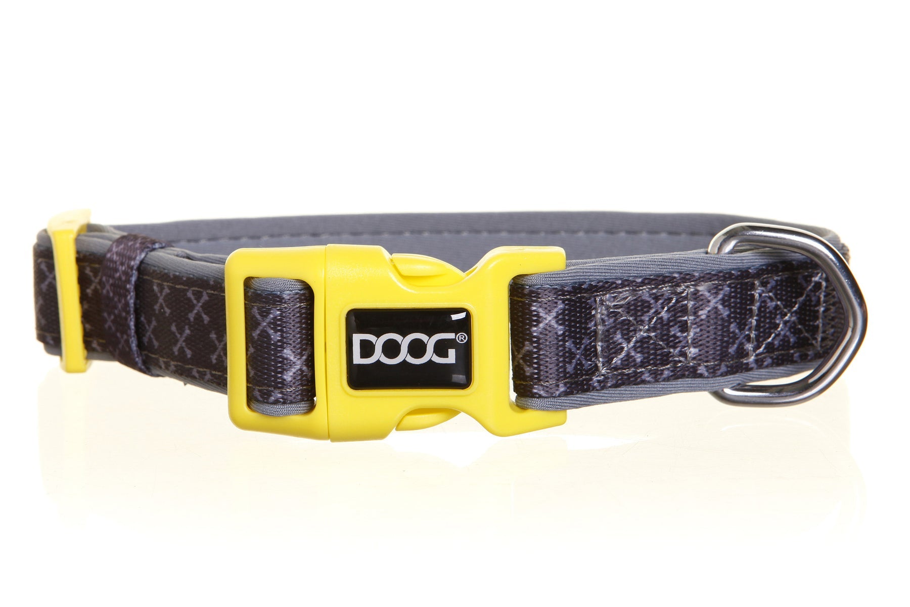 Neoprene Collar - Odie