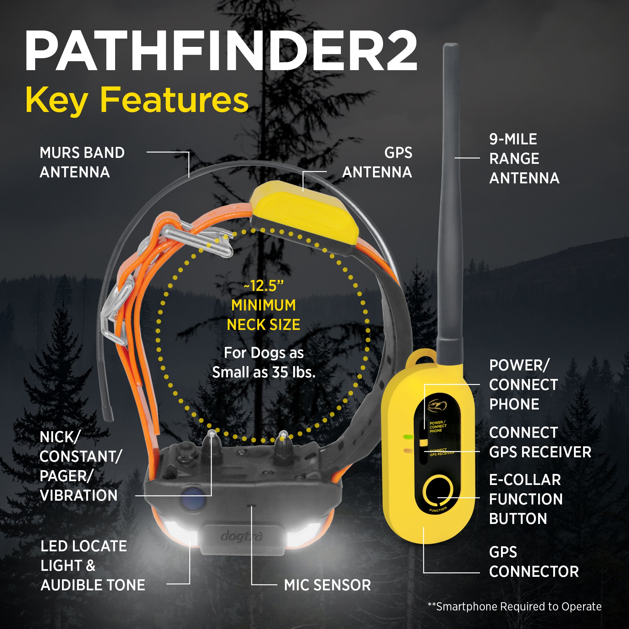 DOGTRA Pathfinder2